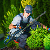 Travaux de Jardinage : Bénéficiez des 50%* de crédit d’impôt pour l’entretien de votre jardin !